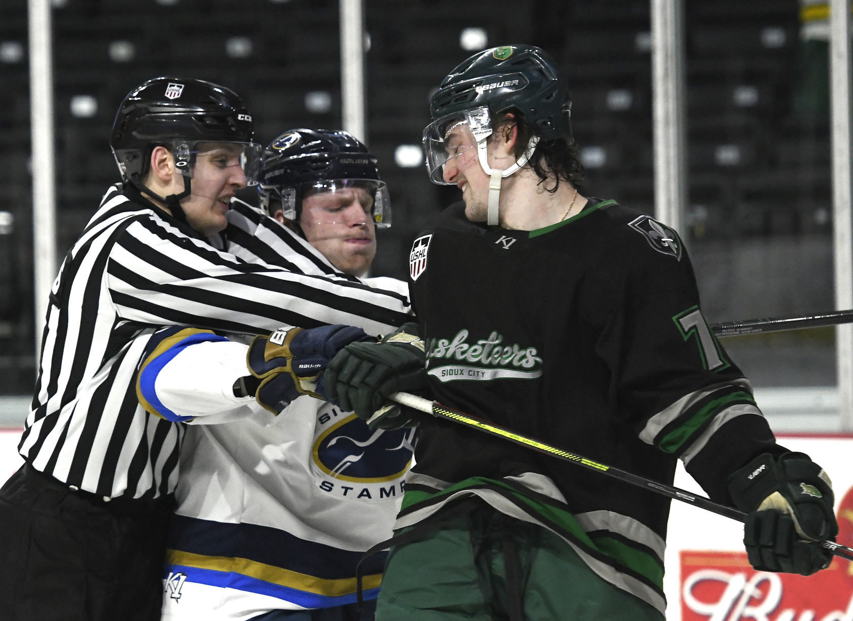 Musketeers defeat Stampede